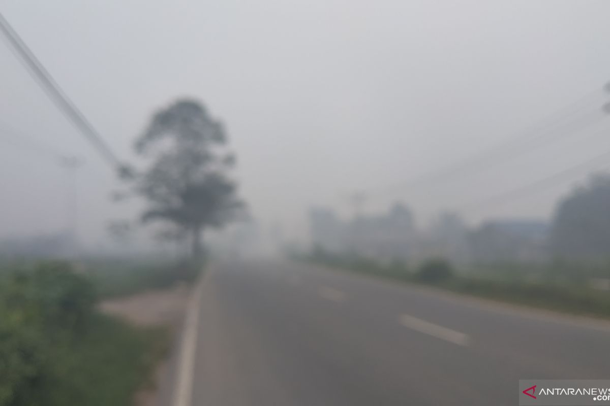 Kabut asap kebakaran hutan di Pontianak makin pekat