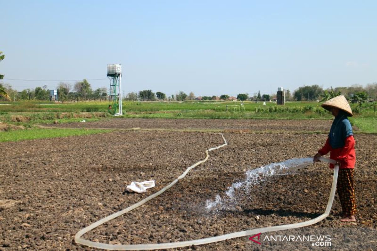 Tanah Bumbu helps farmers with drill wells to anticipate crop failure