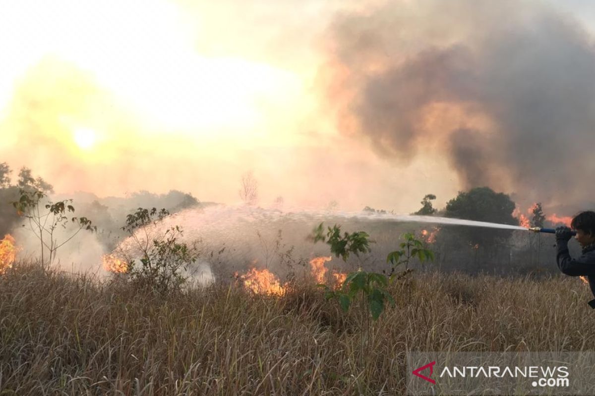 Satgas TMMD sosialisasi bahaya Karhutla di daerah perbatasan