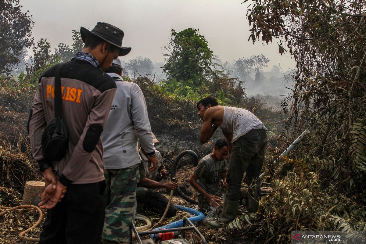 Delapan orang diperiksa terkait dugaan korupsi pembasahan lahan gambut