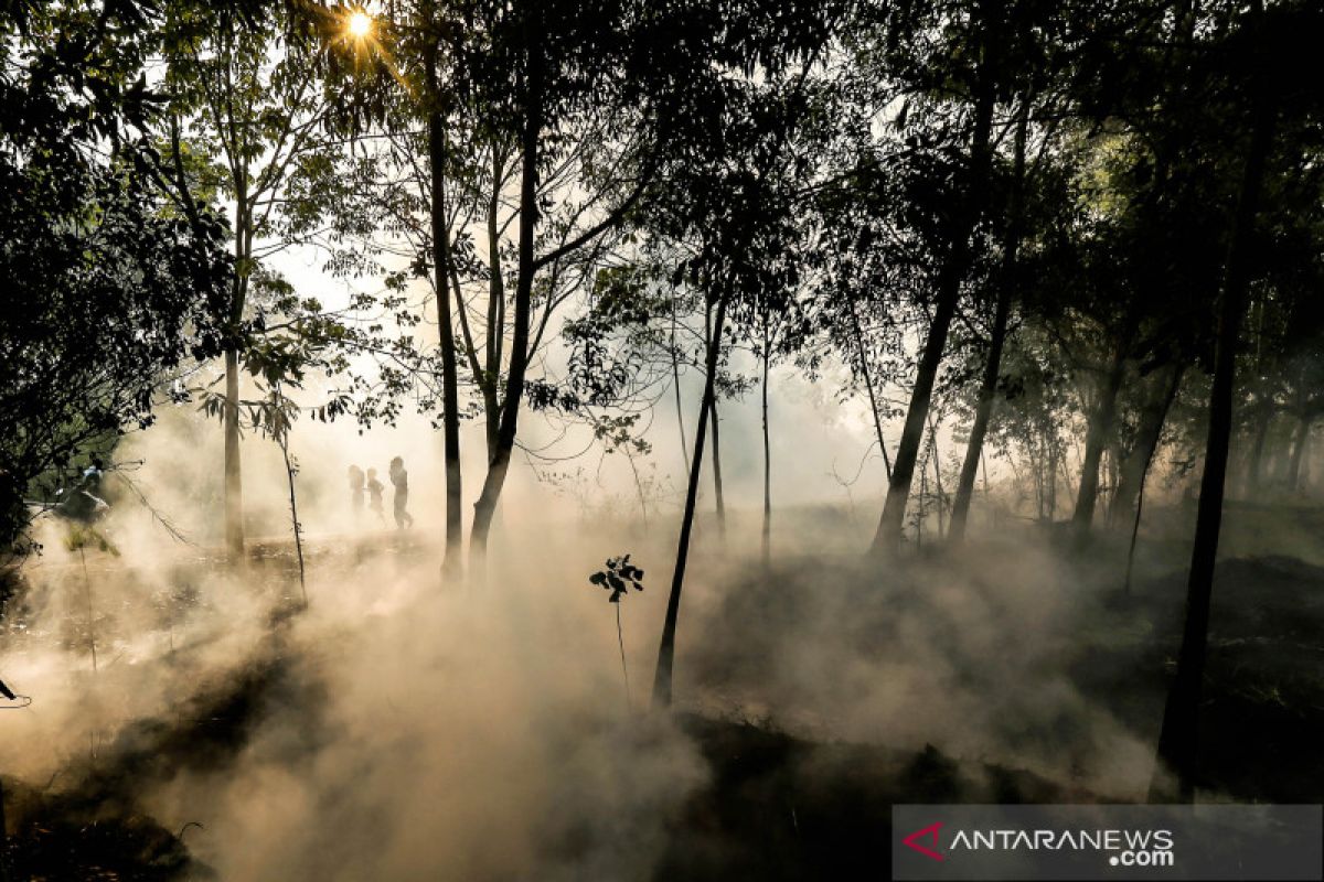 BMKG: 44 "hotspot" terpantau di Sumatera Utara