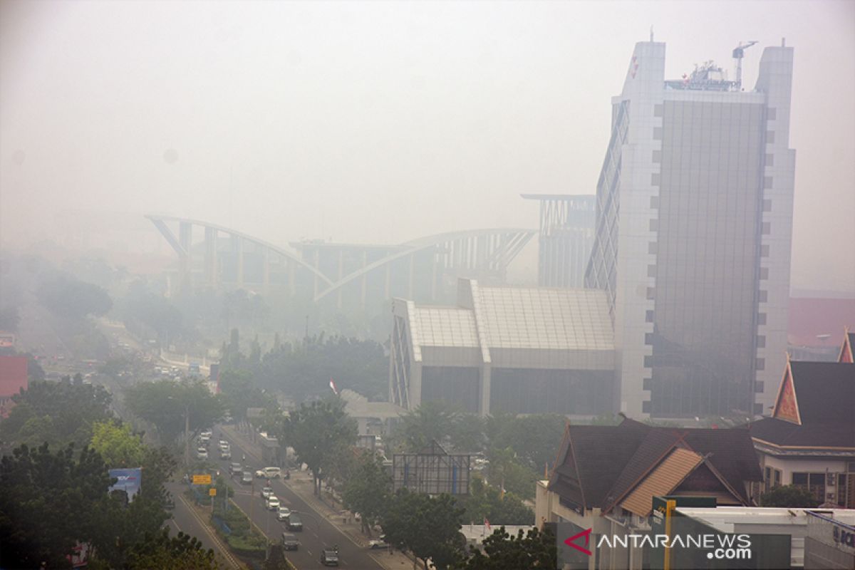 Asap Karhutla Pekanbaru makin pekat, jarak pandang hanya 800 meter