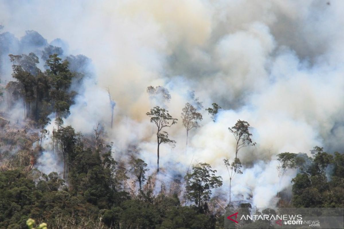 Satgas Karhutla  Sumsel terus pantau dan padamkan kebakaran