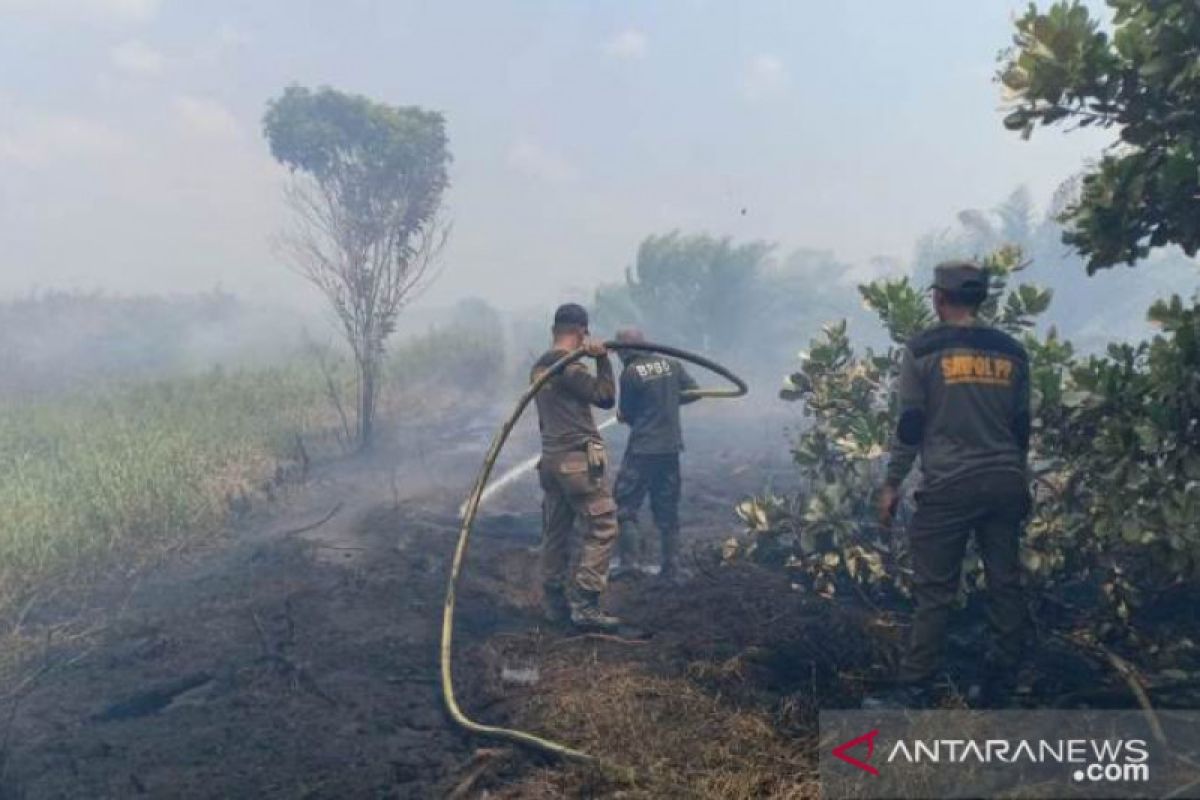 Kebakaran lahan gambut di Penajam belum berhasil dipadamkan