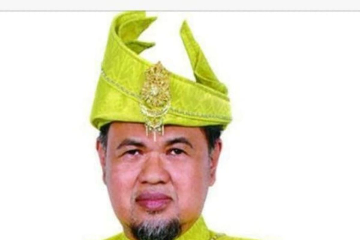 Habibie.wafat, tokoh Kepri: Habibie teknokrat handal