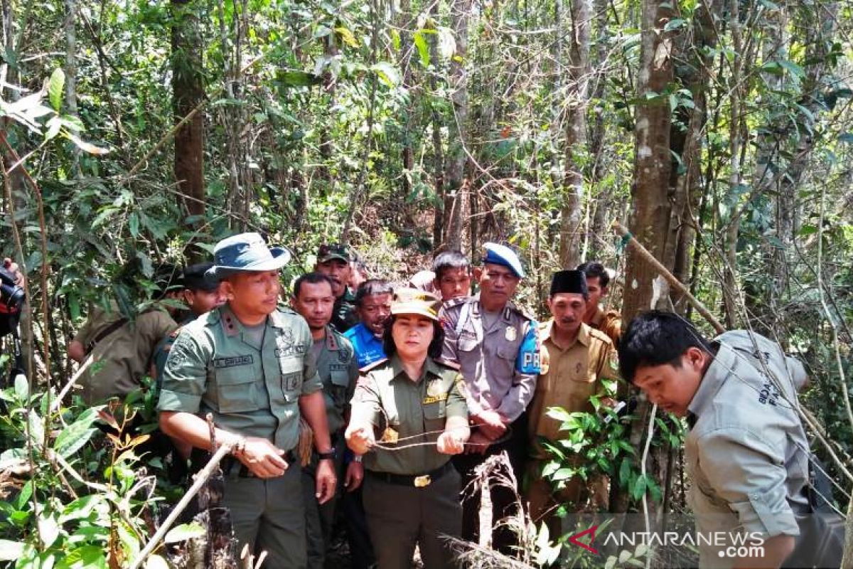 PT.NSHE dukung kegiatan BBKSDA Sumut patroli jerat di hutan SD Hole