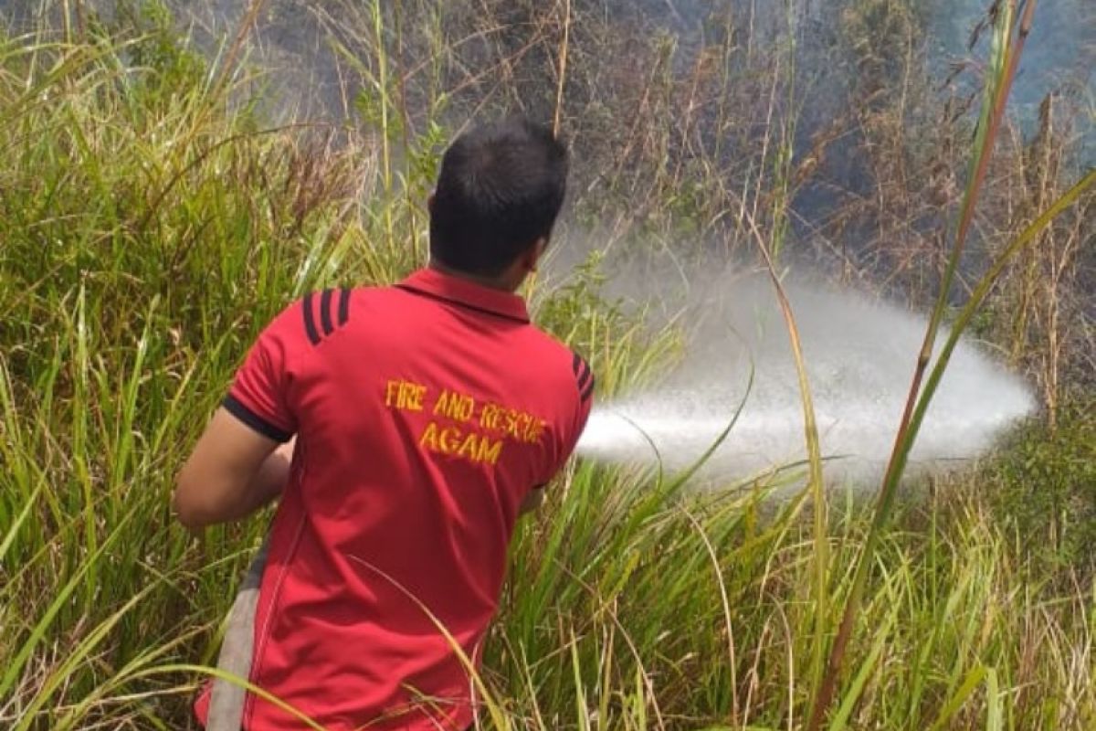 Seluas 25 hektare lahan terbakar di Agam selama 2019