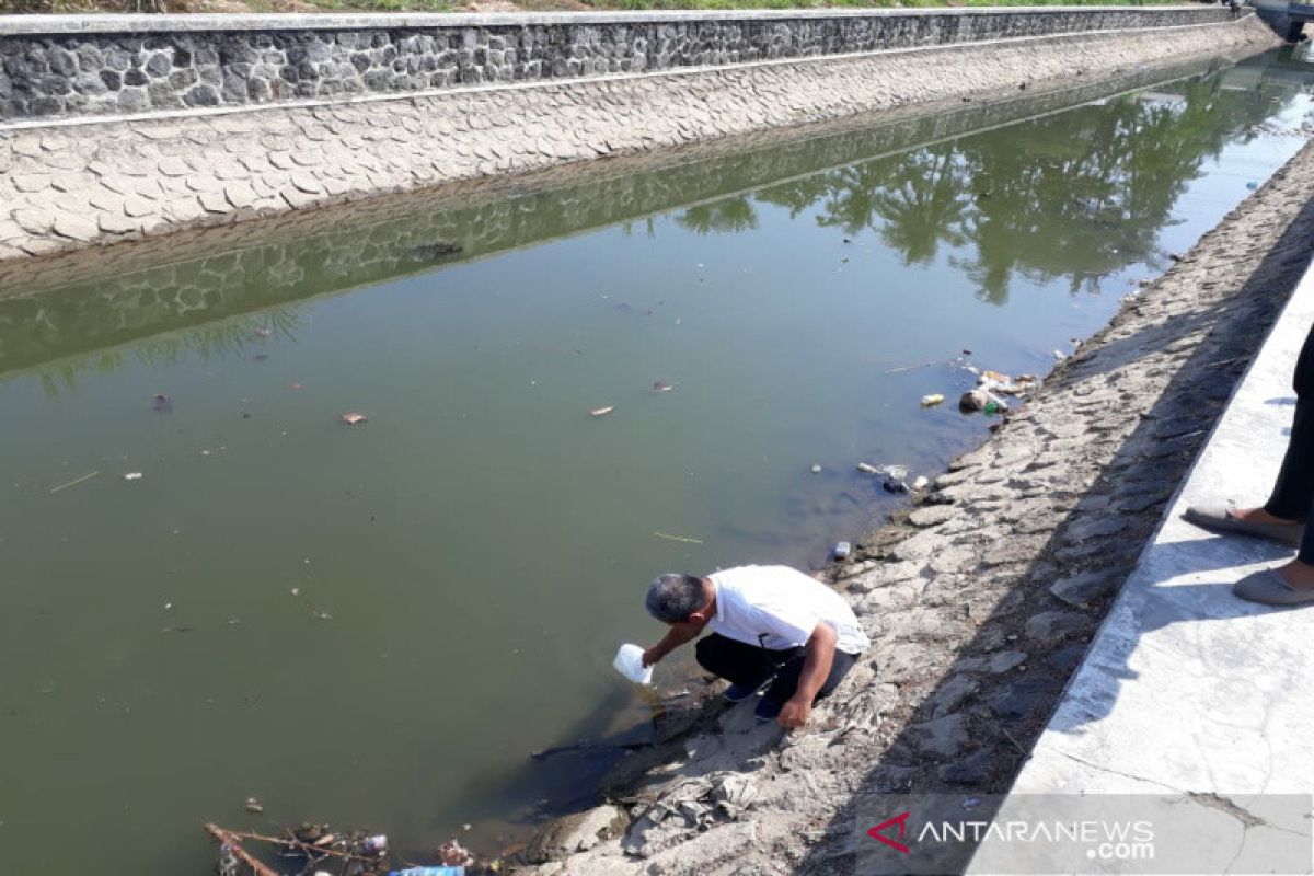 Kulon Progo uji laboratorium ikan mati di samping RSUD Wates