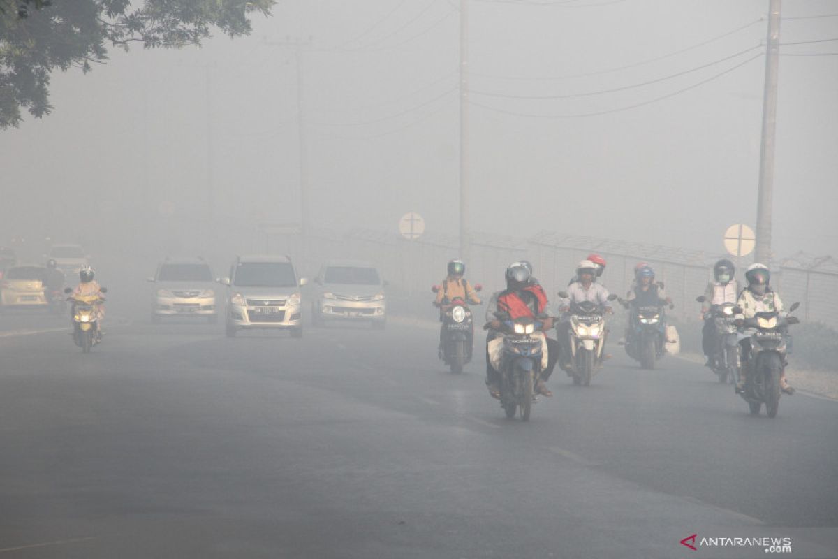 Walhi minta restorasi gambut dievaluasi menyusul karhutla masih terus berlanjut