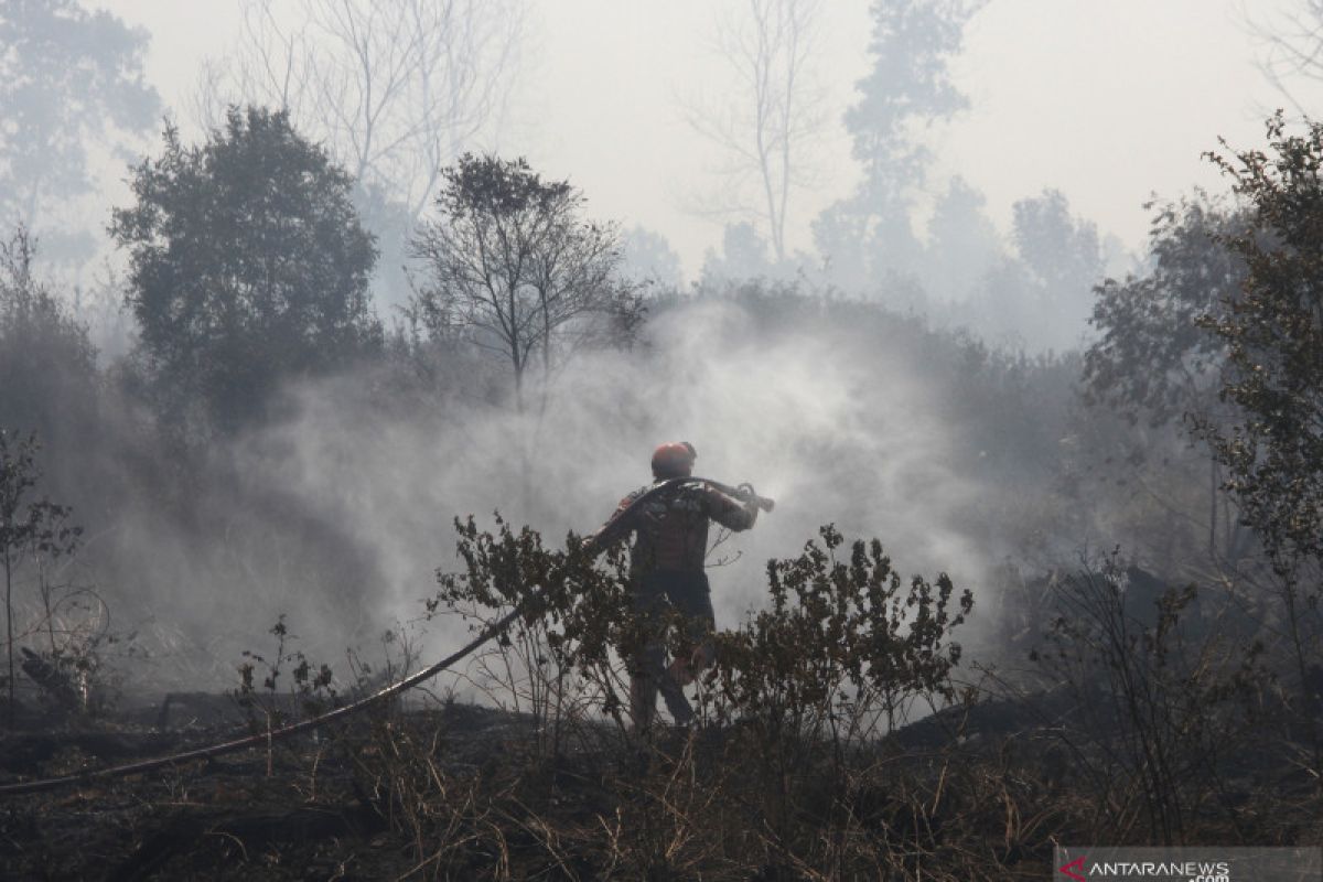 "Kalalatu" karhutla di Kalsel kotori rumah penduduk