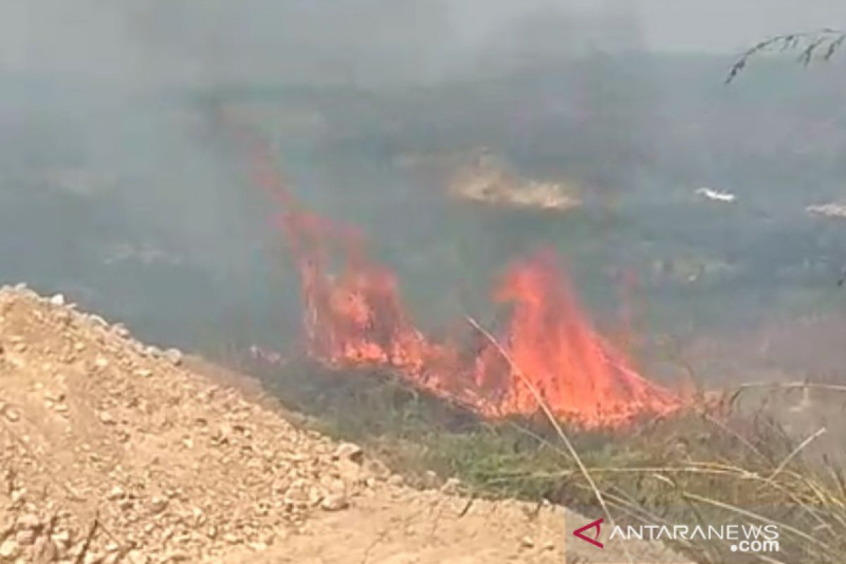 Terbakar, lahan di area pertambangan Sukabumi