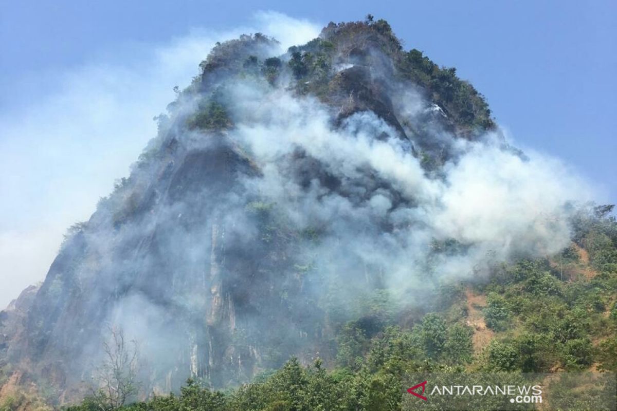 Diduga diakibatkan puntung rokok, Bukit Kandis terbakar