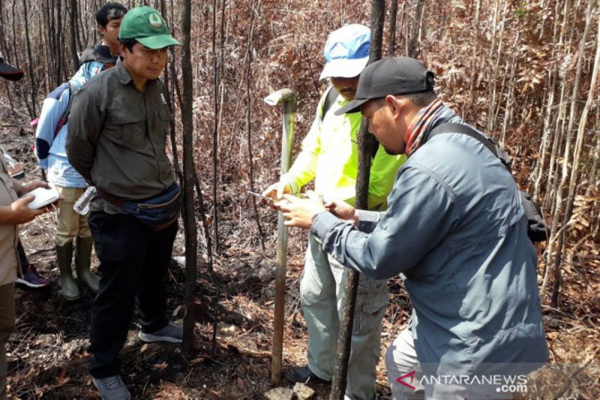 Gerbang Tani Kalbar berharap BRG tidak dibubarkan