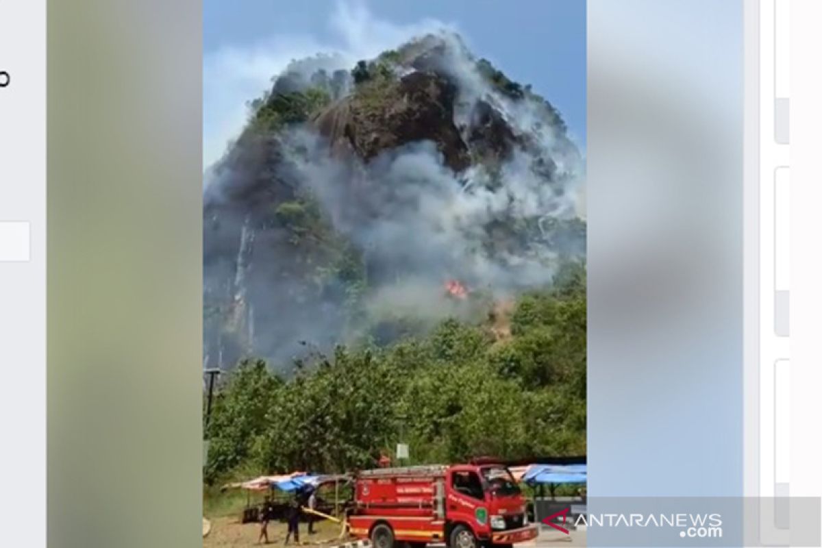 Beredar video kebakaran Bukit Kandis Bengkulu Tengah