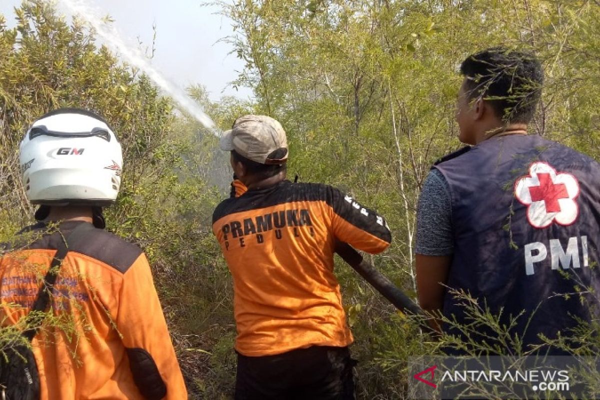 17 hektare hutan di Kawasan  Lintas Timur Bangka terbakar