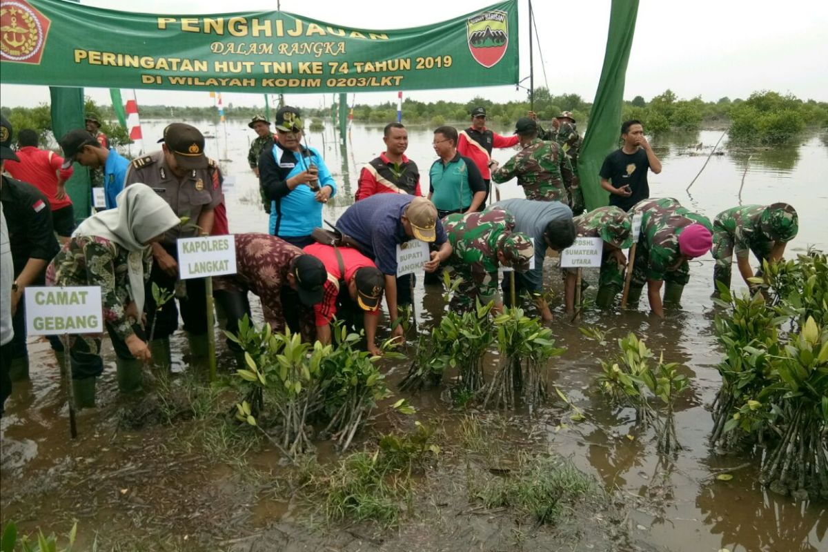 HUT TNI ke-74 Wakil Bupati Langkat tanam 5.000 pohon mangrove