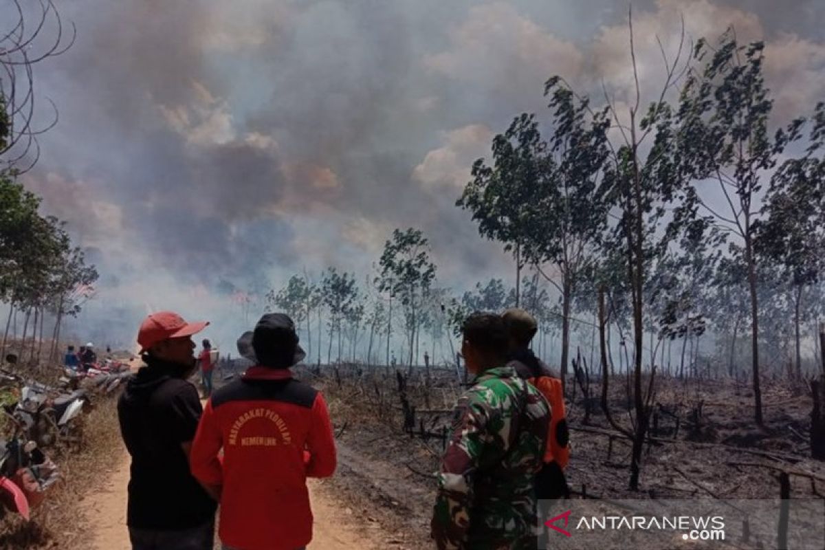 Puluhan hektare lahan milik inhutani terbakar