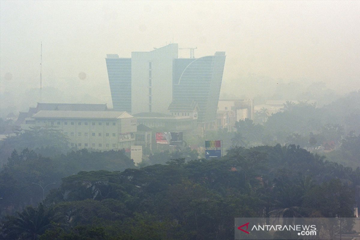 Jarak pandang di Pekanbaru anjlok jadi 700 meter akibat kabut asap