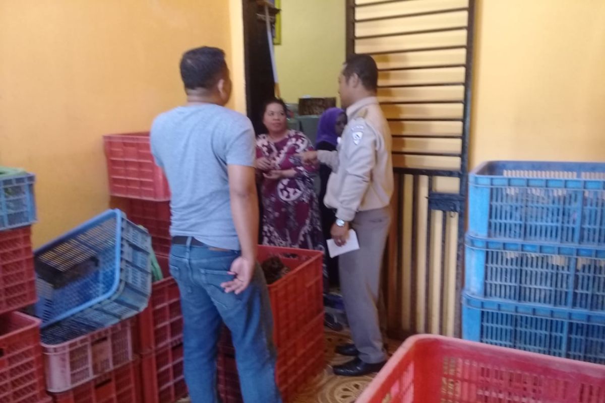Kementerian KP awasi terhadap pemanfaatan kepiting bakau di Palu