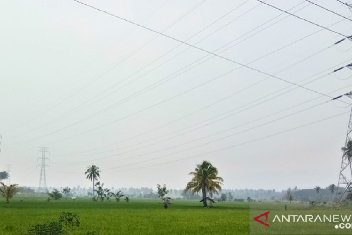 Pemkab Tapsel imbau warganya gunakan masker