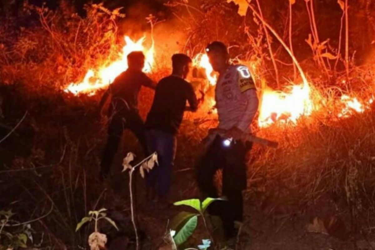 Kebakaran lahan di Majene berhasil dipadamkan