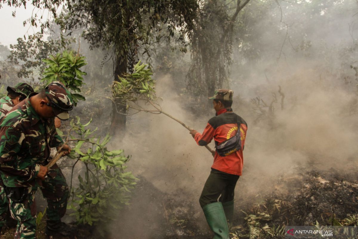 Penerbangan mulai terganggu, ASITA desak Pemrov Riau segera atasi asap