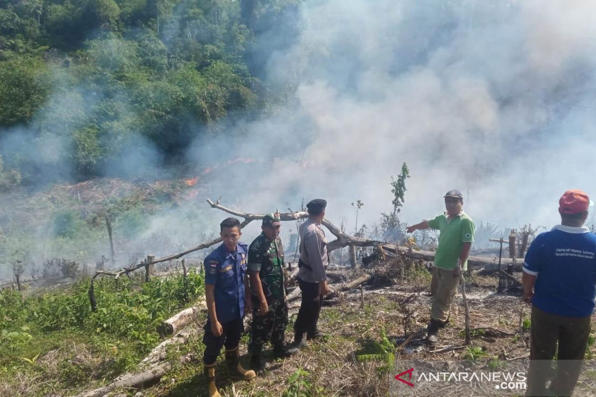 Empat lahan di Rejang Lebong terbakar dalam sehari