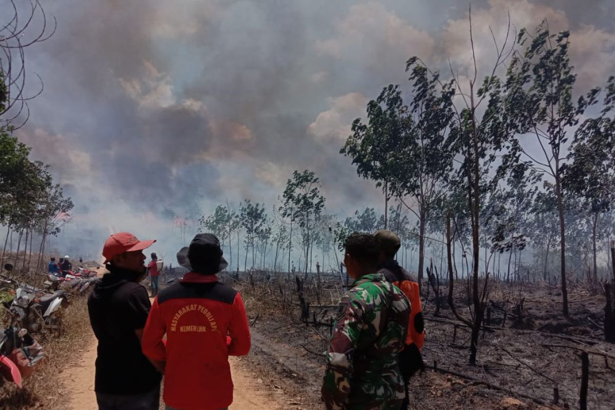 DPRD imbau kewaspadaan kebakaran dimusim kemarau