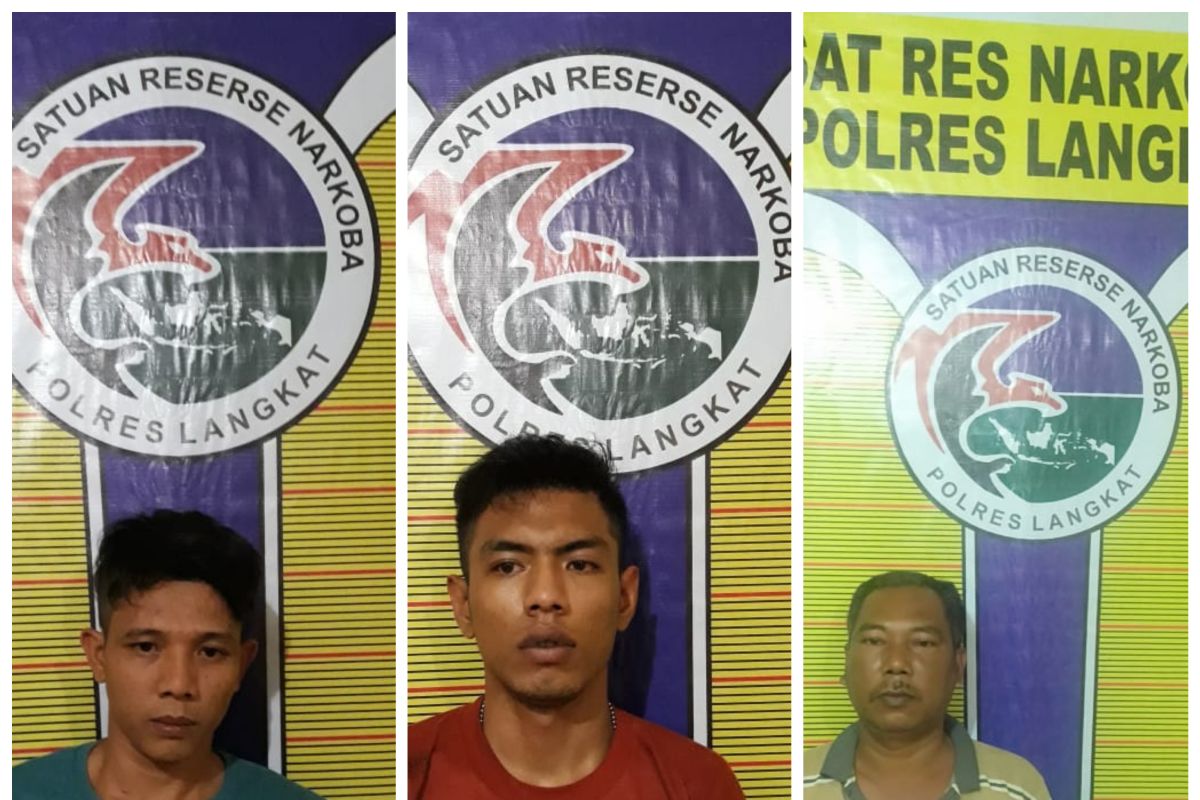 Tiga pengedar sabu-sabu ditangkap polisi Langkat