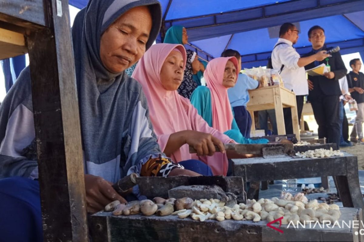 Mendorong kebangkitan perekonomian di Lombok Utara pascagempa