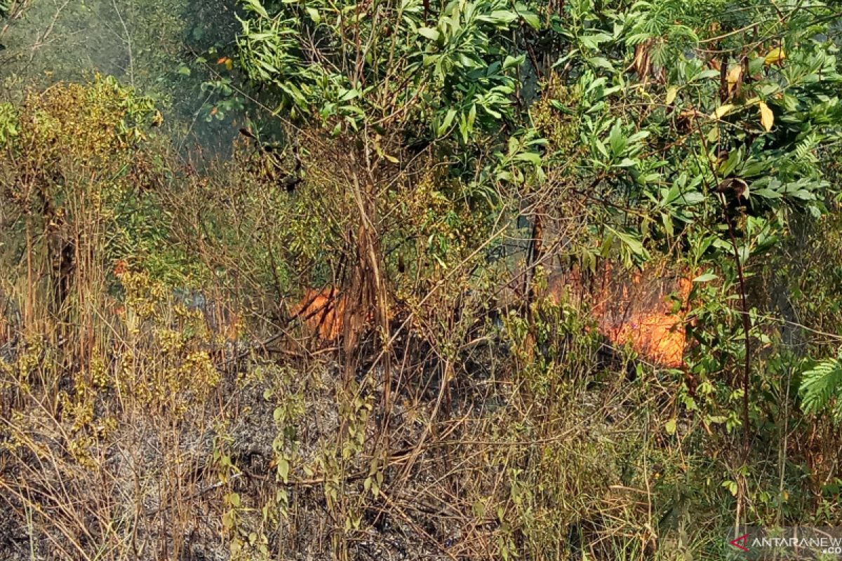 Warga Kabupaten Tulangbawang keluhkan dampak kebakaran hutan dan lahan