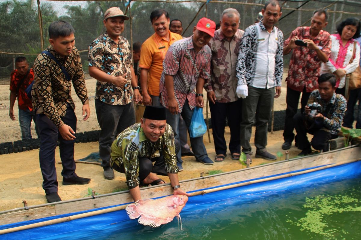 Plt. Bupati Labuhanbatu dukung petani terus berinovasi