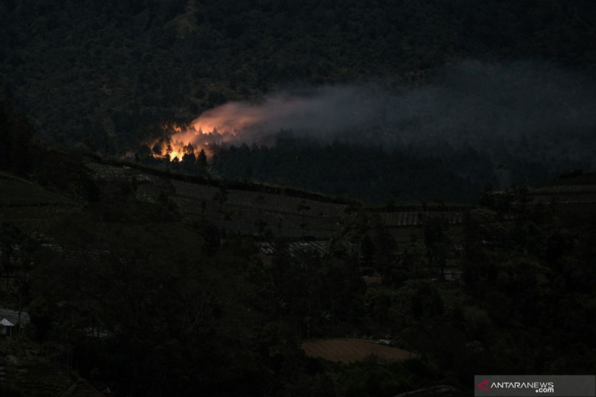 14,3 hektare hutan lereng timur Gunung Slamet terbakar