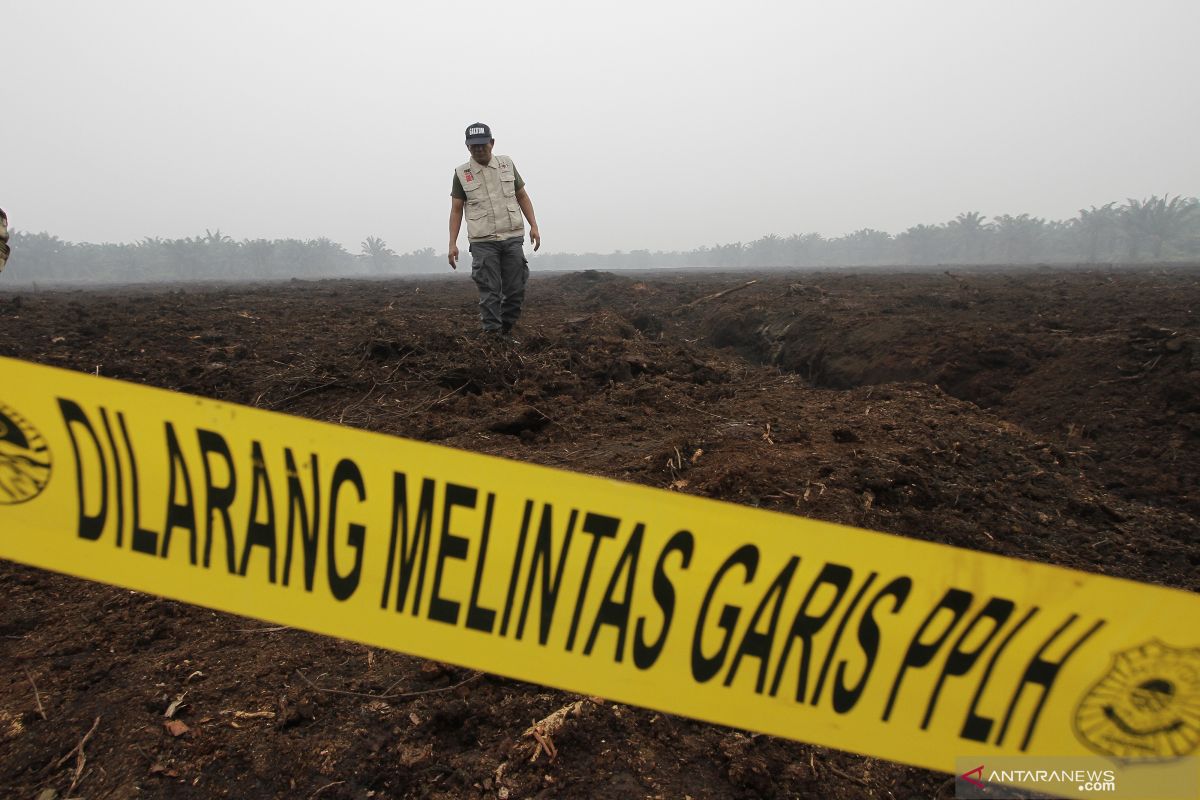 Tersangka karhutla bertambah jadi 179 orang, terbanyak di Kalbar