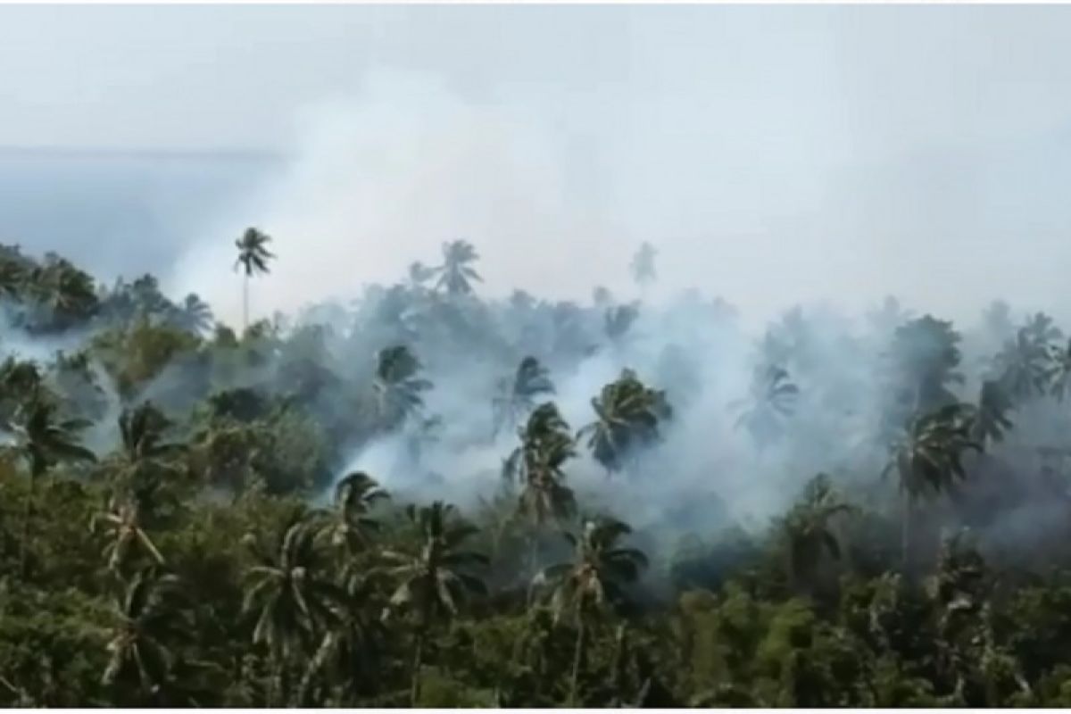 Polisi tetapkan 19 tersangka pelaku pembakaran hutan dan lahan di Jambi