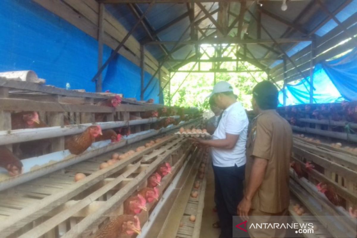 934 KK Miskin di Konawe Utara Peroleh Bantuan Bibit Ayam