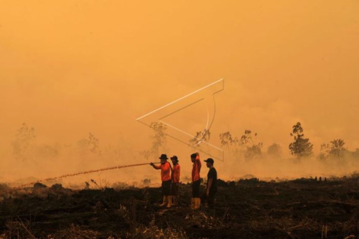 Kendala pemadaman api pembakar semak meningkat bila  kanal masyarakat kering