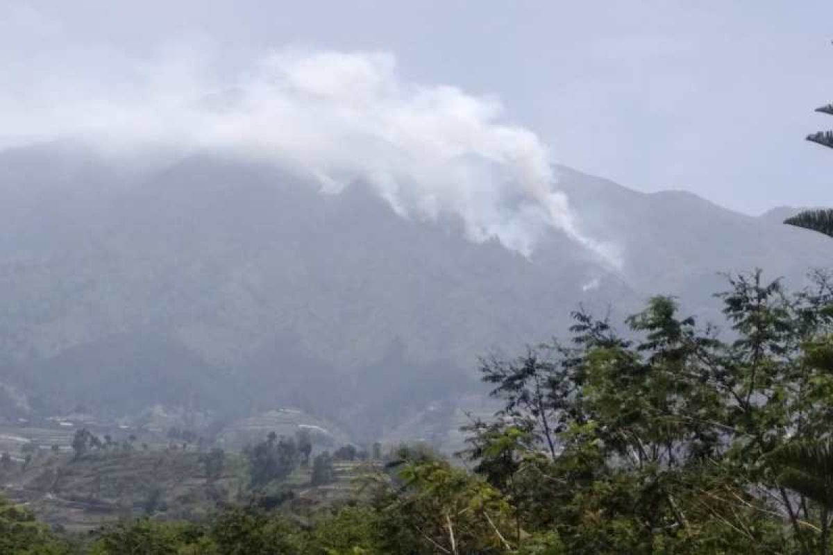 Kebakaran hutan di Gunung Merbabu meluas