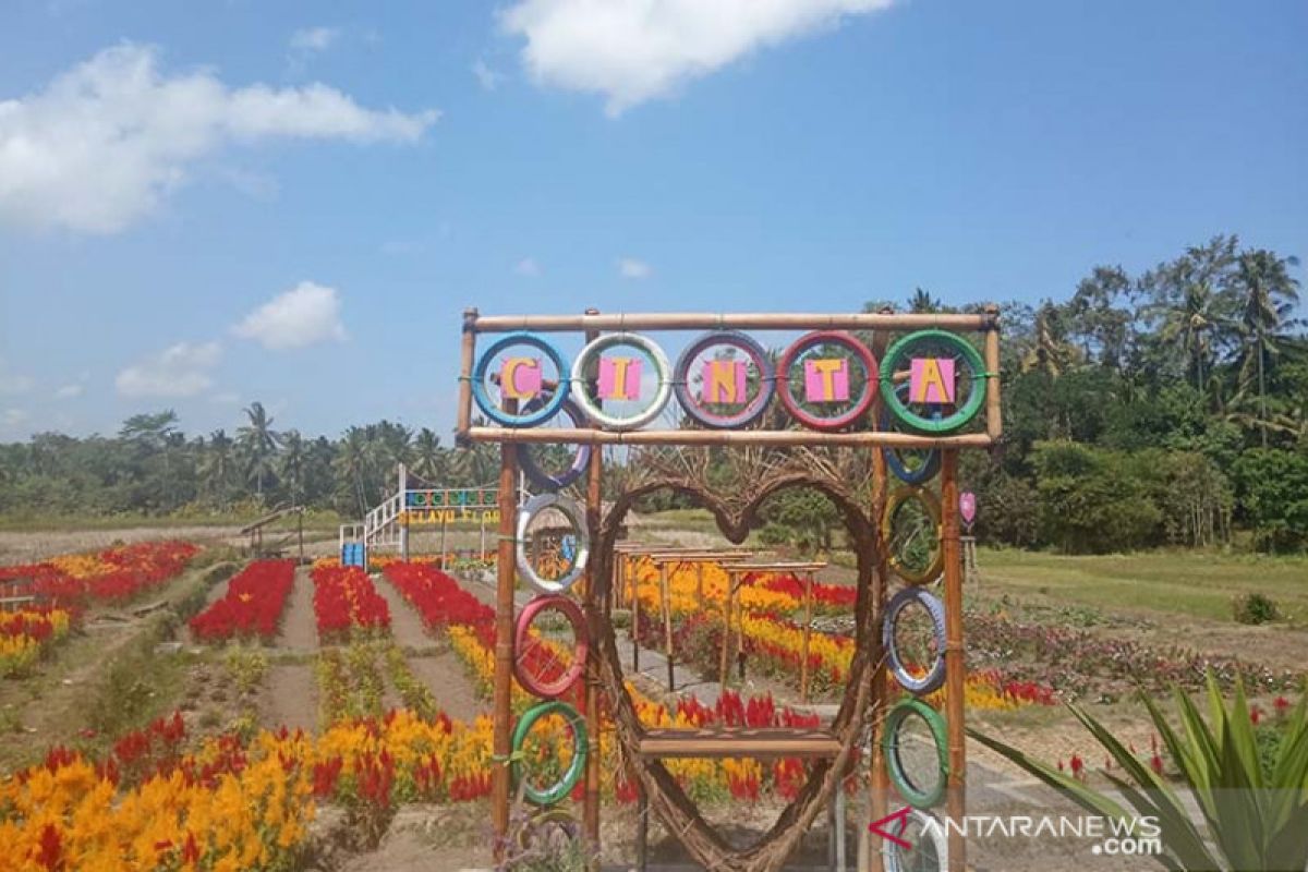 Pemerintah-DPRD diminta ikut promosikan Taman Belayu Florist Tabanan