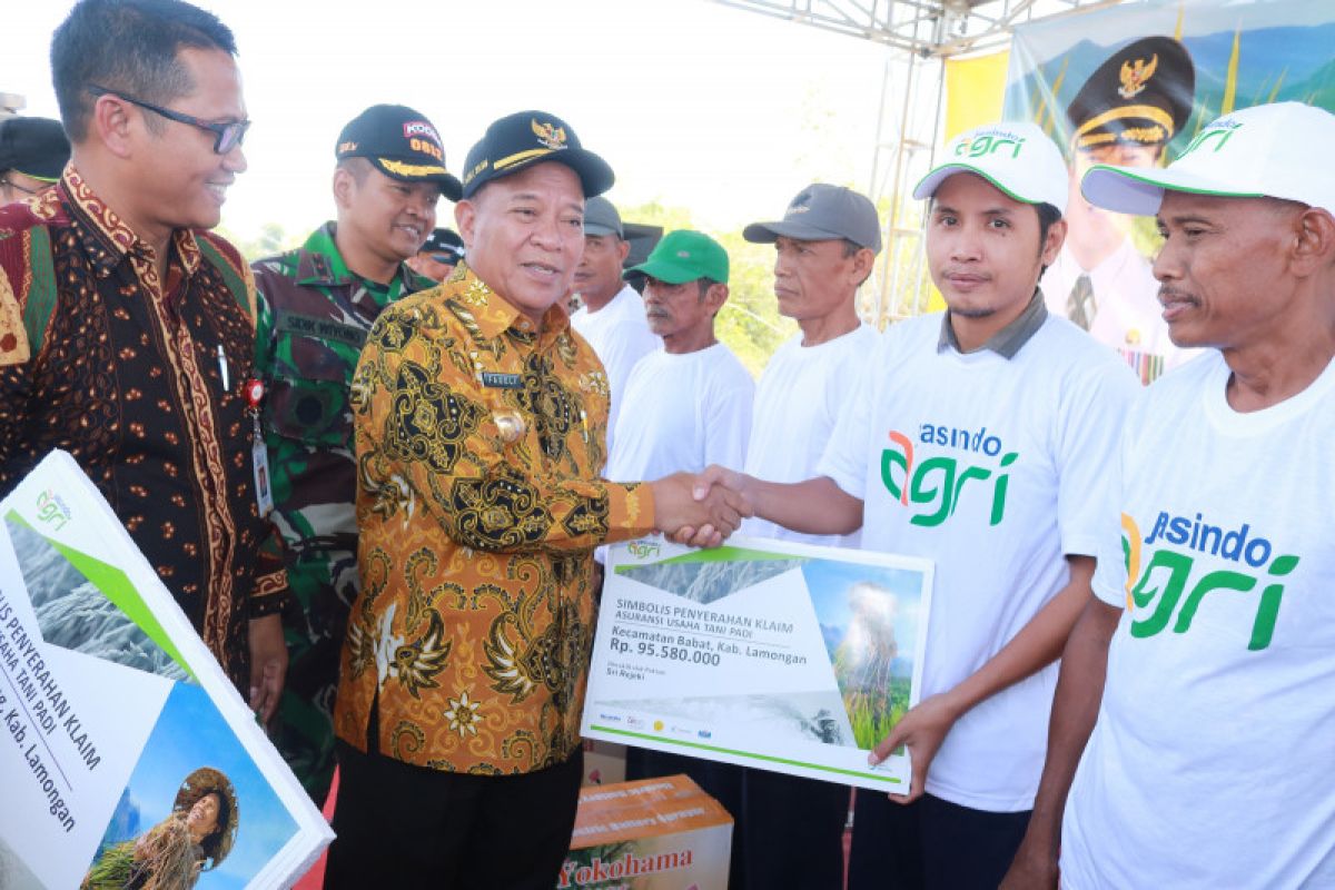 Petani Lamongan terima klaim asuransi gagal panen Rp3,6 miliar.