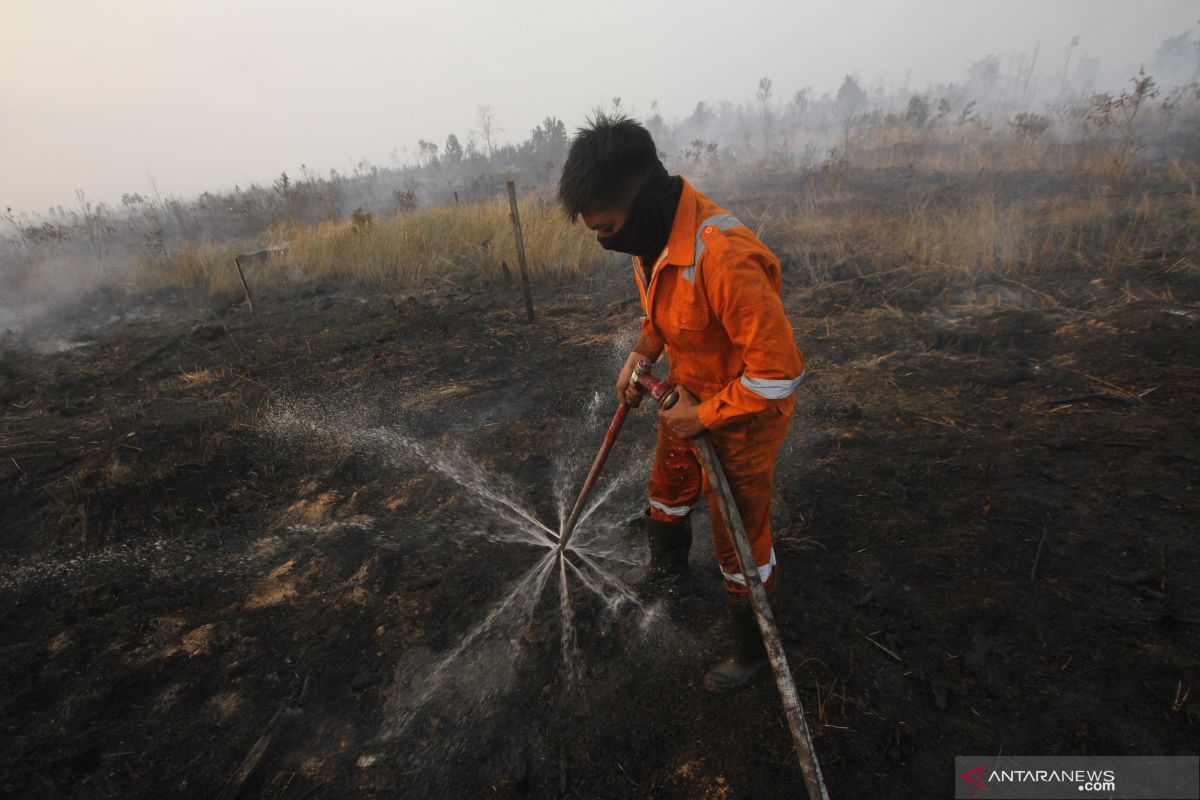 Bupati Sigi minta masyarakat waspada potensi kebakaran hutan