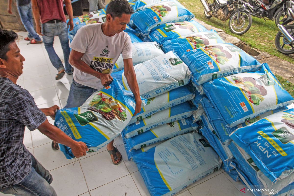 Petani Aceh Utara kesulitan peroleh pupuk bersubsidi