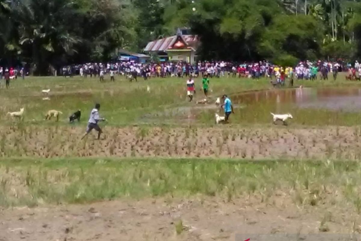 Ribuan Anggota Porbbi "Serbu" Talamau, Pasaman Barat