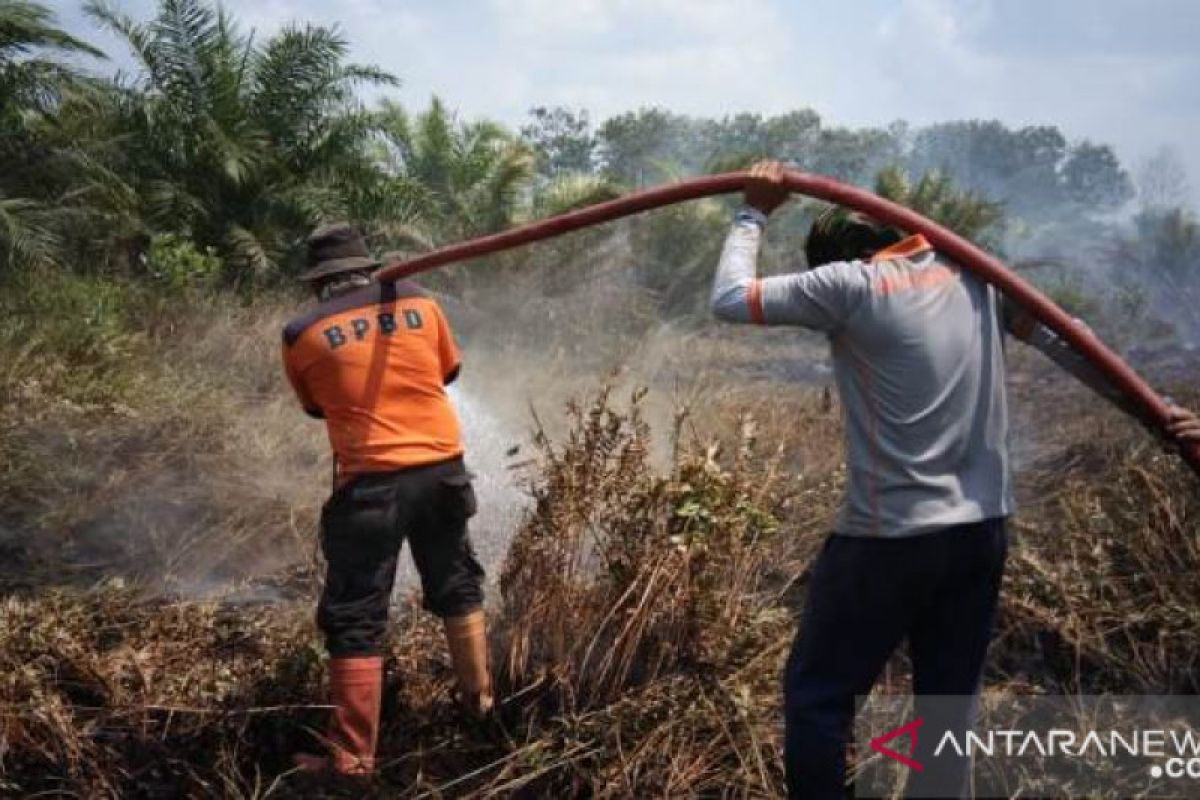 Satu lagi korporasi ditetapkan tersangka karhutla, total jadi 15