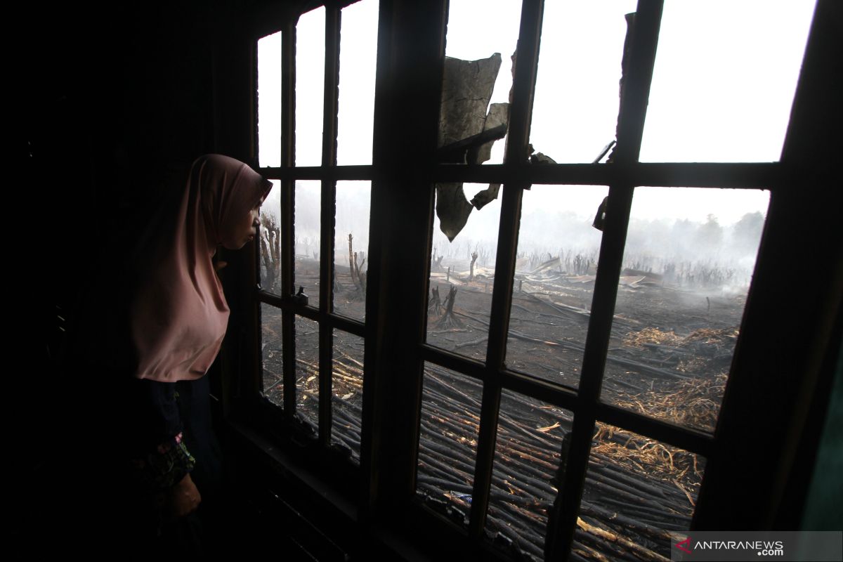 Peneliti sebut perlu satu dekade lebih lihat hasil restorasi gambut