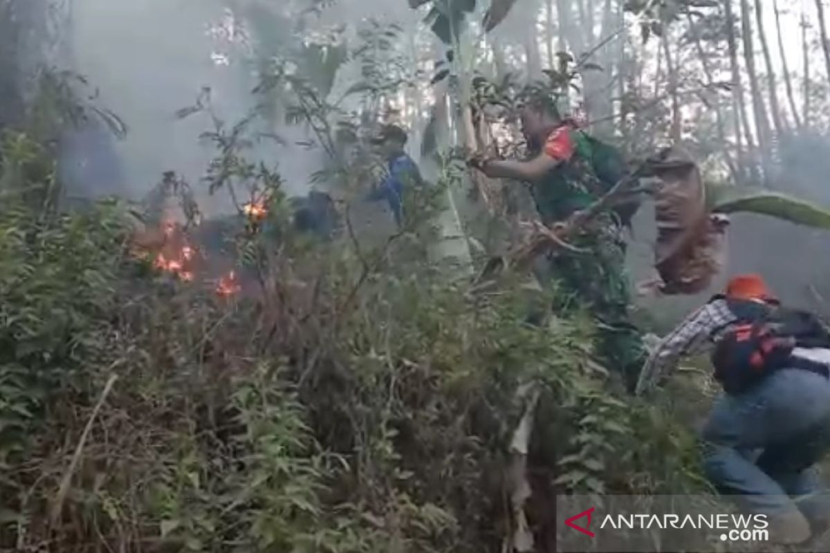 Kebakaran lalap hutan pinus di Kampung Cigadog Sukabumi