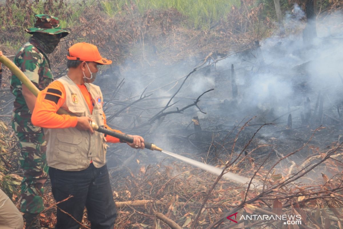 Sekda semprot titik api padamkan karhutla