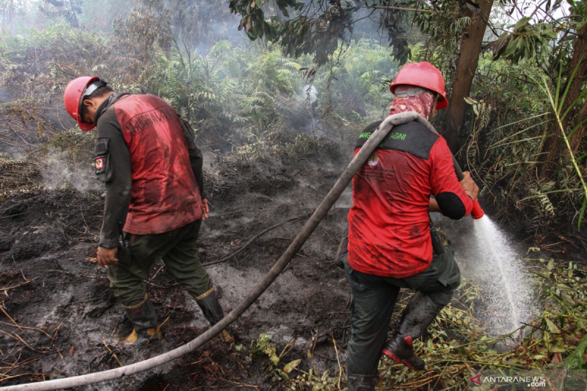 Tanggulangi karhutla Riau, 5.809 personel disiagakan