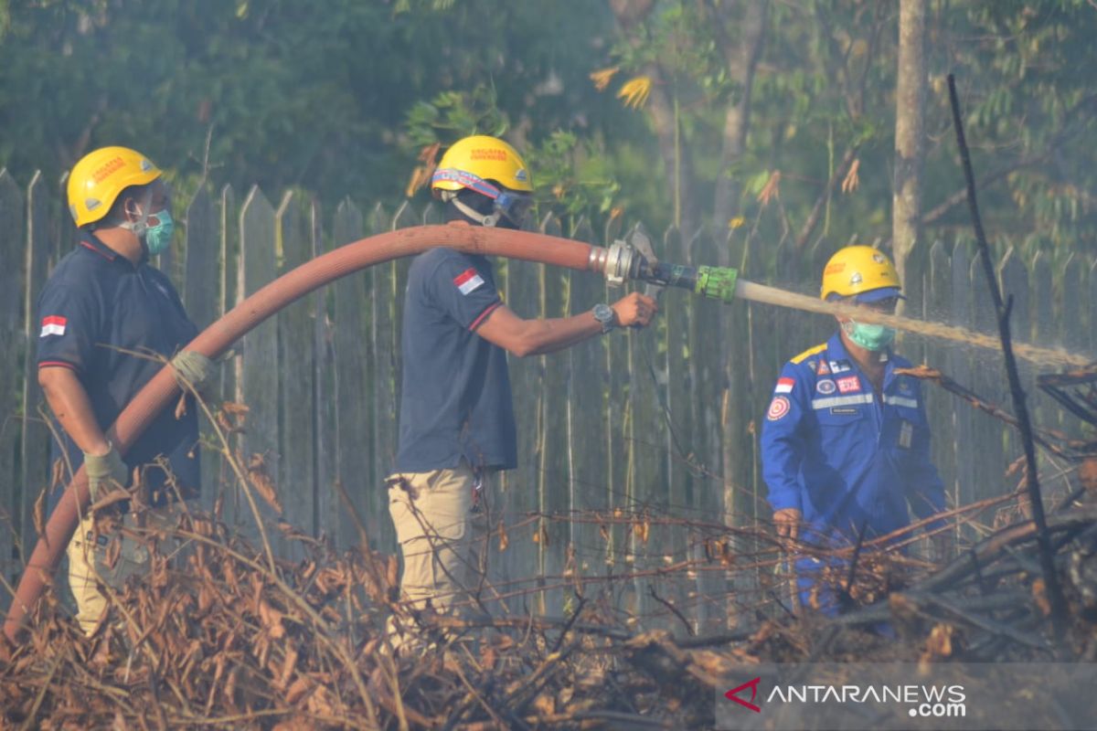 Tagana ikut padamkan kebakaran hutan