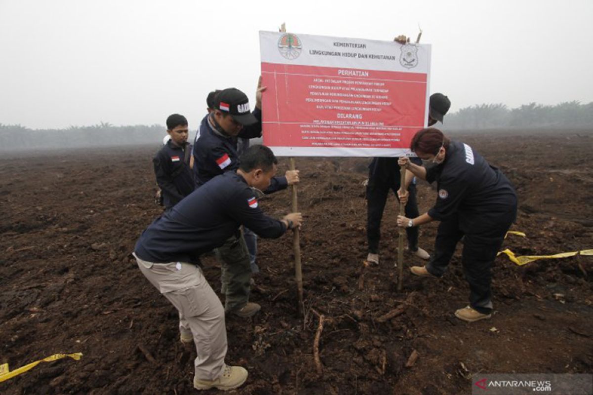 Di Riau, KLHK segel lahan perusahaan sawit Malaysia yang diduga dibakar